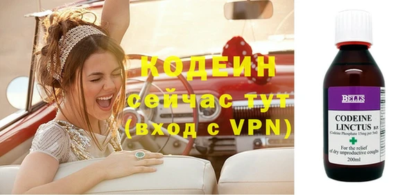 прущие грибы Михайловка