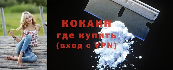 прущие грибы Михайловка