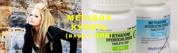 прущие грибы Михайловка