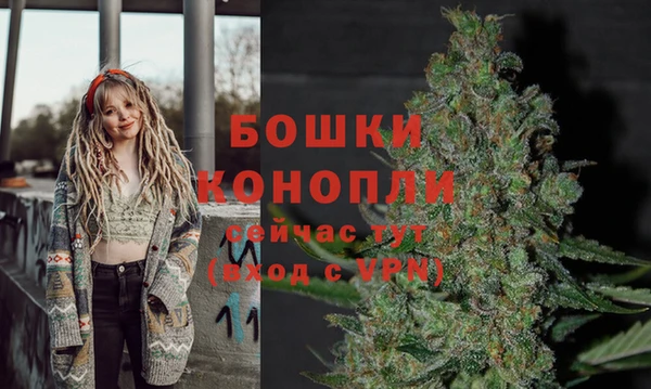 прущие грибы Михайловка