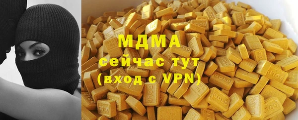 прущие грибы Михайловка