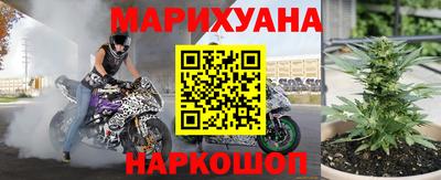 гидра Котовск