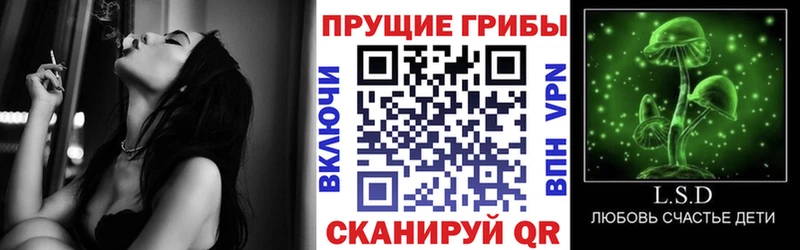 Псилоцибиновые грибы Psilocybine cubensis  Владимир 