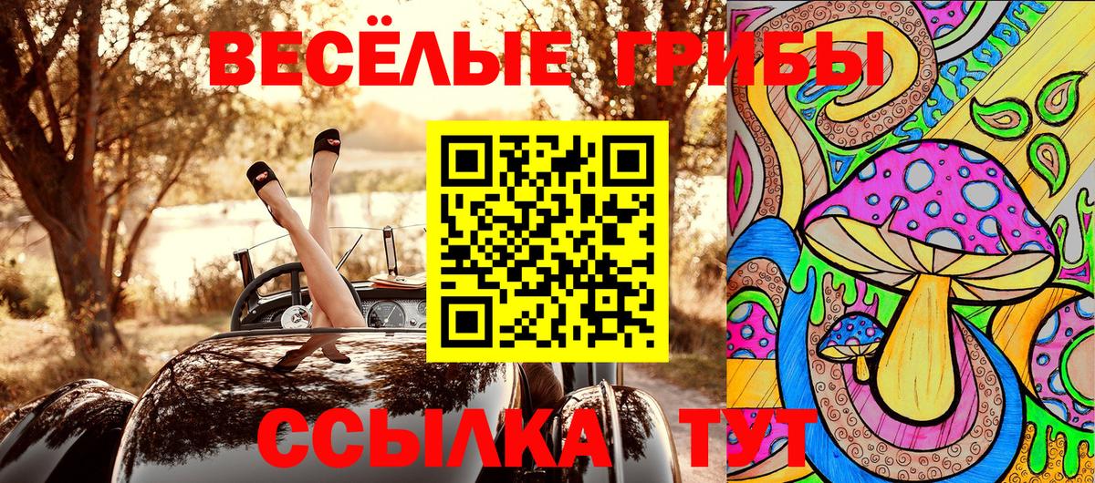 Псилоцибиновые грибы Psilocybe  Псилоцибиновые грибы мухоморы  Вход с VPN  Владимир 